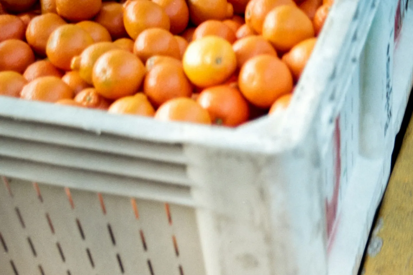 Frutas cítricas selecionadas