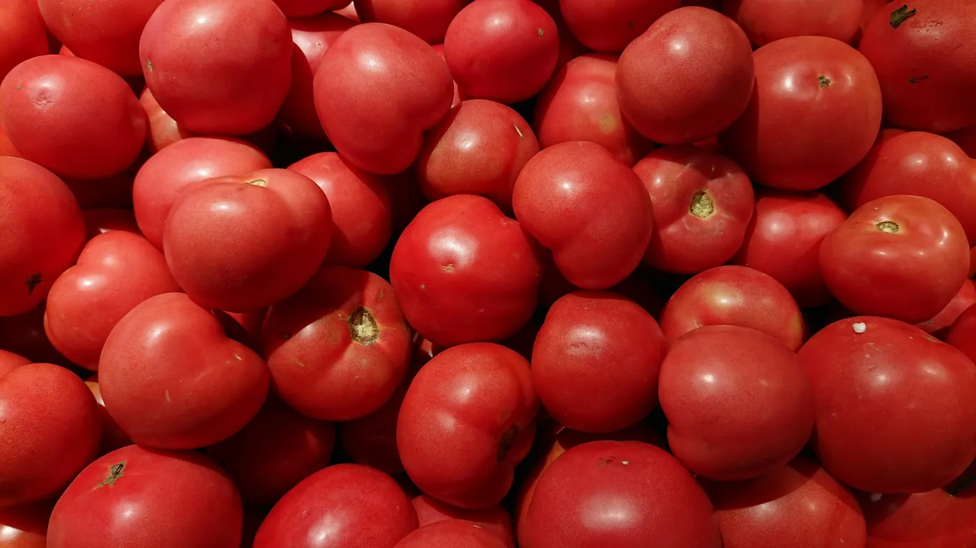 Legumes frescos, todos os dias